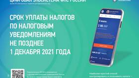 Как оплатить налог за квартиру через Госуслуги