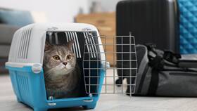 Как провезти удочку в самолете Аэрофлот в Reserved