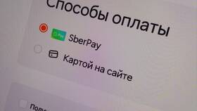 Как сделать заказ в Додо Пицца в Reserved