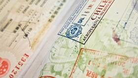 Просроченная виза в России: что делать в Reserved